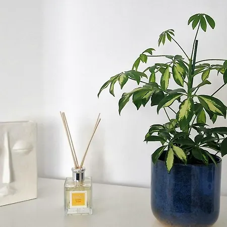 Appartement Brb Park *