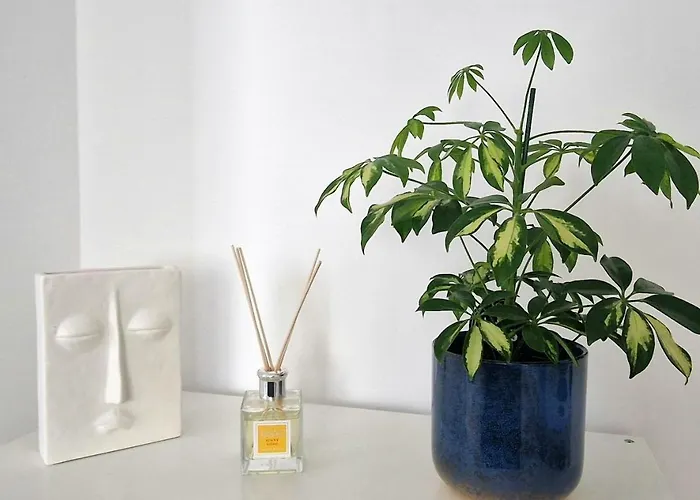 Apartment Brb Park *